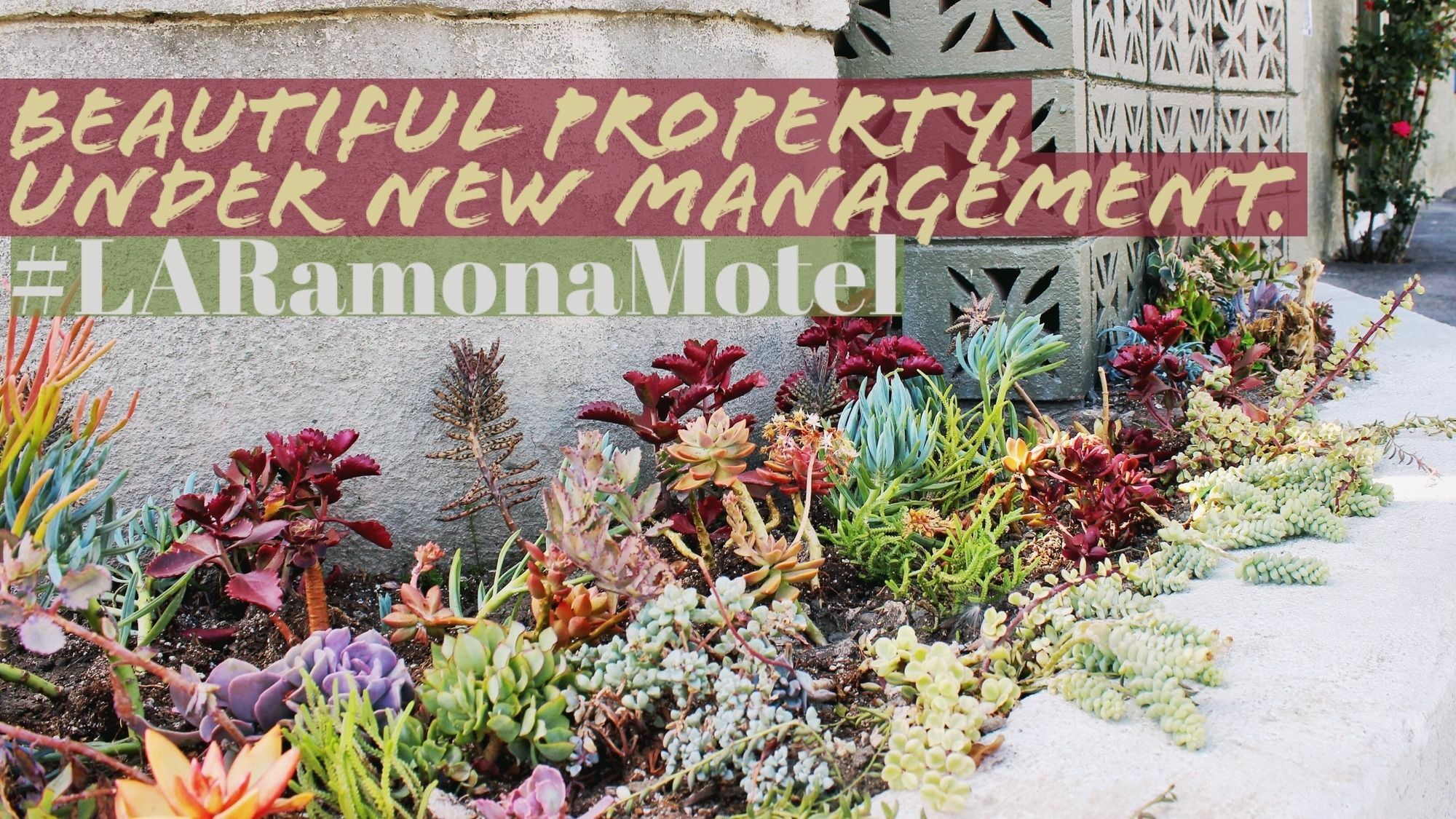 Ramona Motel Los Angeles Esterno foto